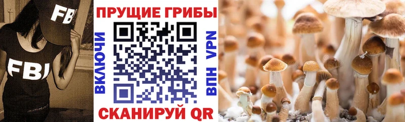 Галлюциногенные грибы ЛСД  даркнет сайт  Невинномысск 