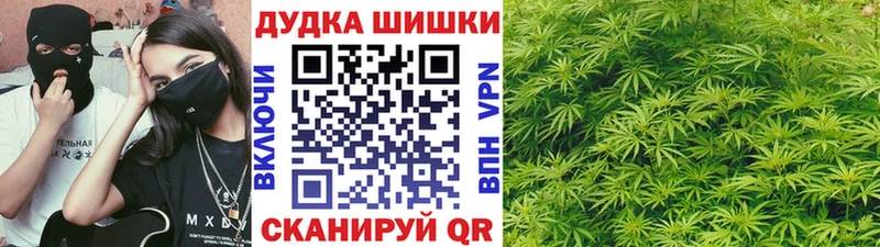 Каннабис планчик  даркнет состав  Невинномысск 